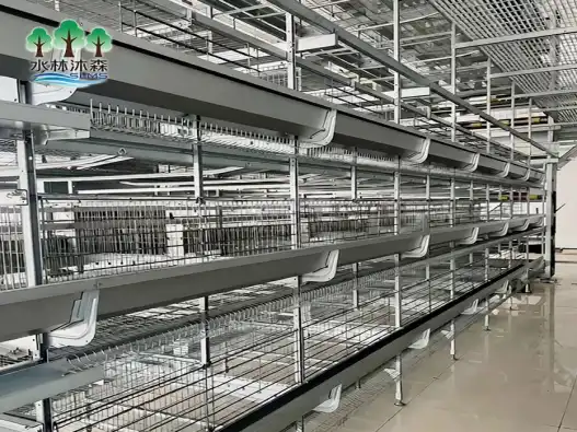 What are the benefits of a three-tier layer cage system?